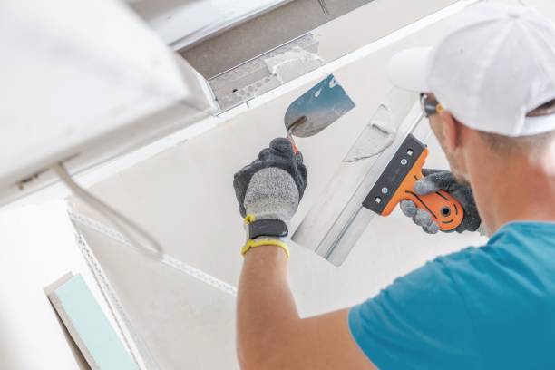 Best Drywall Finishing  in Timberlane, IL